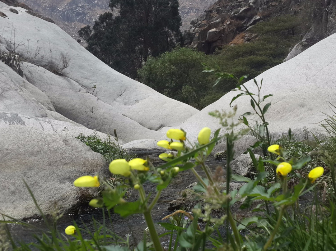Toboganes de Songos-San Jeronimo de Surco必去景点