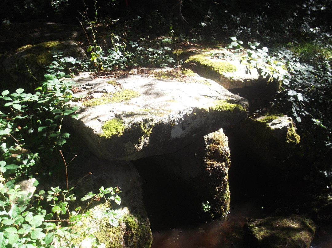 L'Ecrin de Brierat-Saint-Priest-la-Prugne必去景点