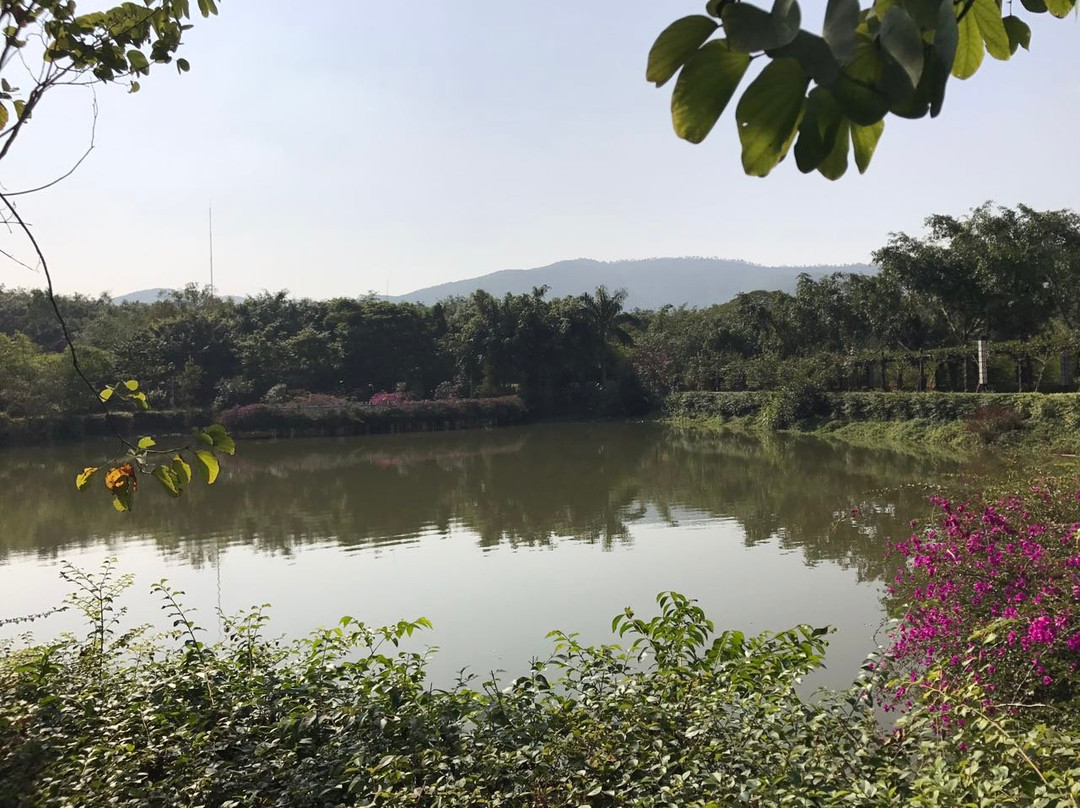 大屏障森林公园-东莞市必去景点