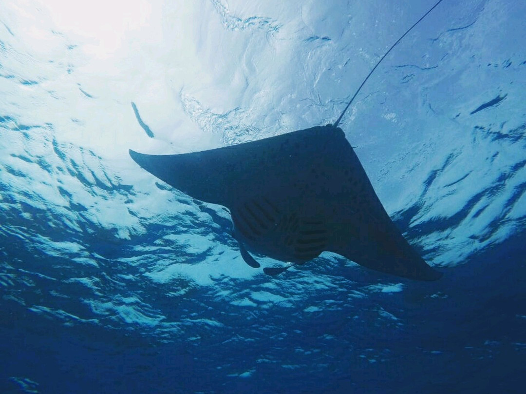 拉斯胡酒店住宿-拉斯胡美景酒店