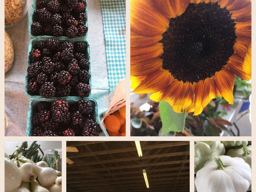 Abingdon Farmers Market-Abingdon必去景点