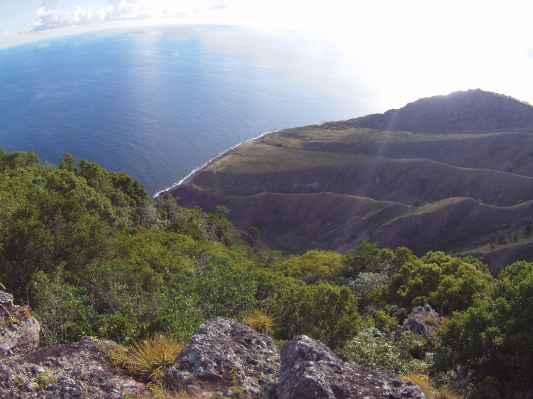 Saba Freediving School-Windwardside必去景点