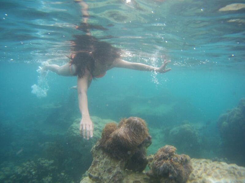 Go Green Tour-卡里蒙加瓦必去景点