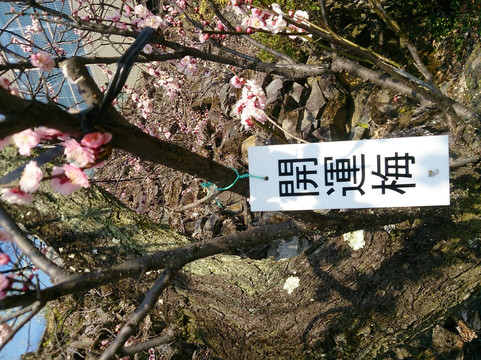 Furoen-甲府市必去景点