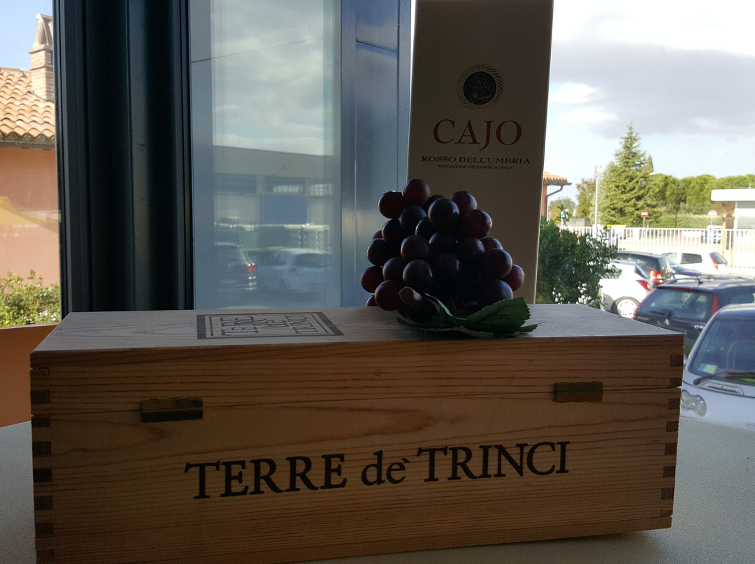 Cantina Terre de' Trinci景点图片
