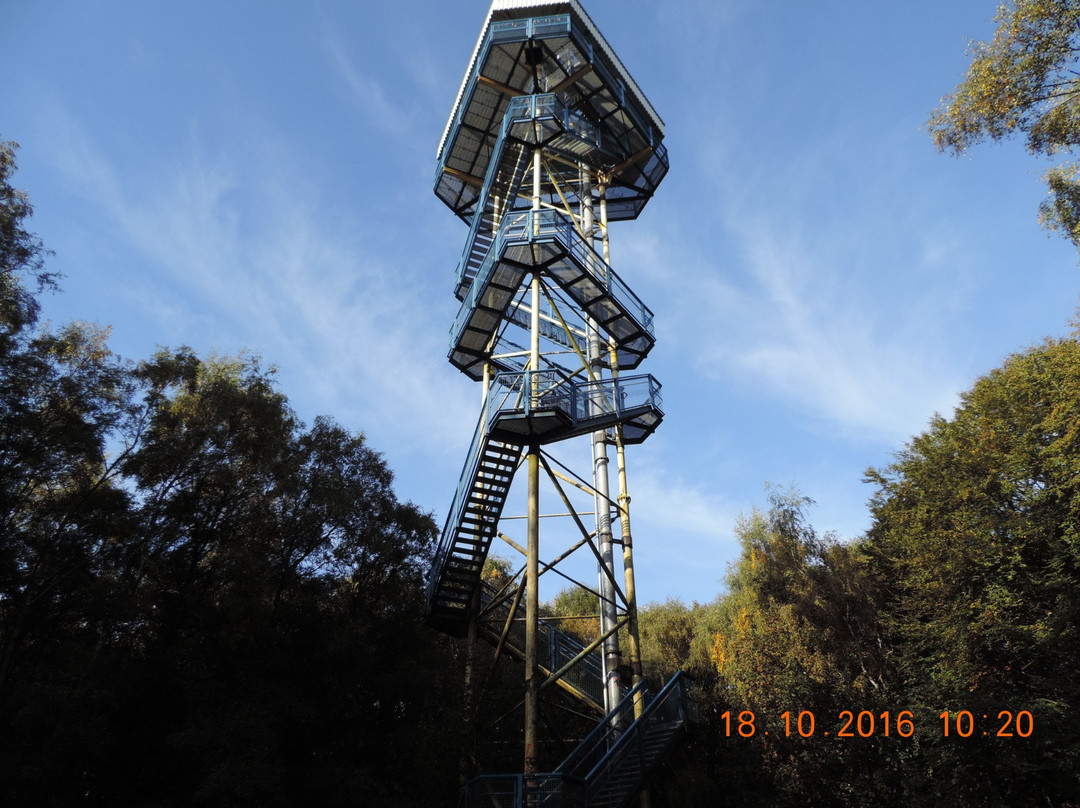 Aussichtsturm Hülser Berg景点图片