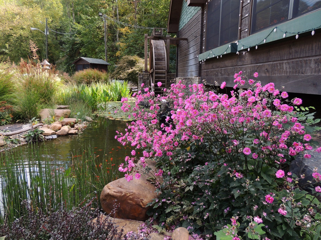 Moonshine Ridge Country Store & Cafe-塞维尔维尔必去景点