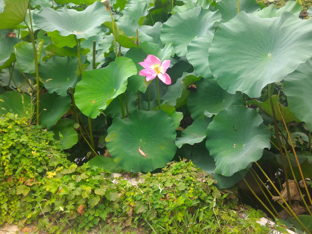 胶州高凤翰故居-胶州市必去景点