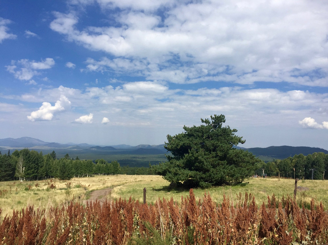 Humphrey's Peak Trail - San Francisco Peaks-弗拉格斯塔夫必去景点