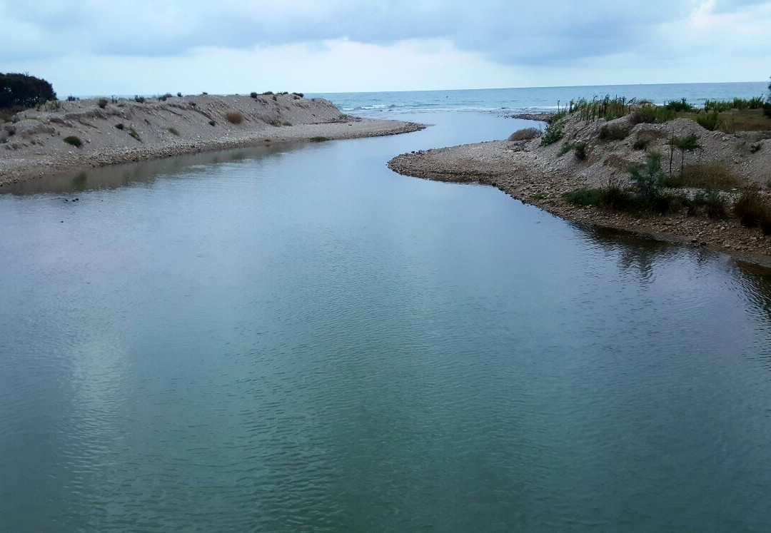 Espacio natural de la desembocadura del rio Foix景点图片
