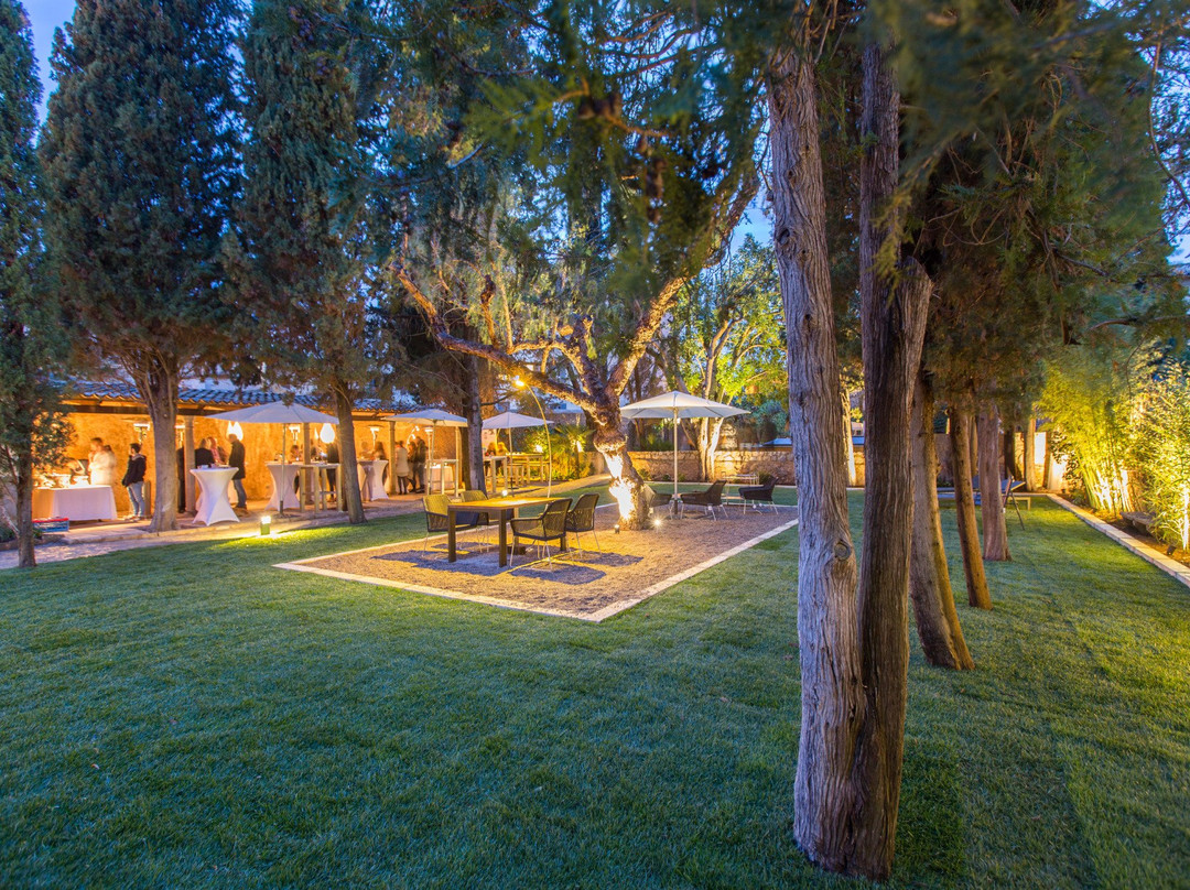 Villa Wesco Mallorca景点图片