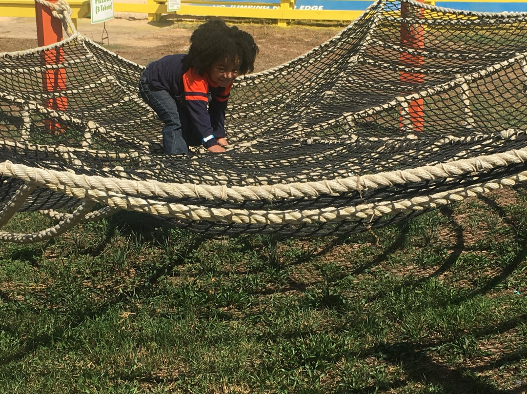 Corn Dawgs Corn Maze-Loganville必去景点
