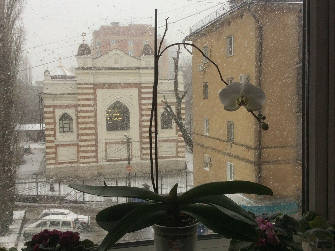 Voronezh Jewish Community景点图片
