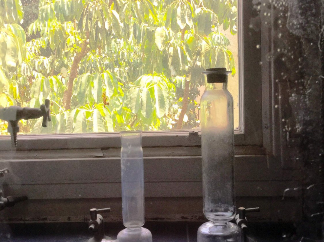 The Levinson Visitors Center-雷霍沃特必去景点