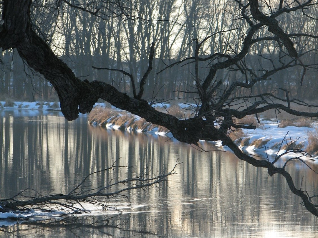 Fox River Park-沃基肖必去景点