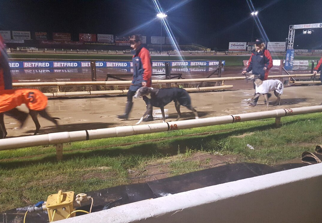 Owlerton Greyhound Stadium景点图片