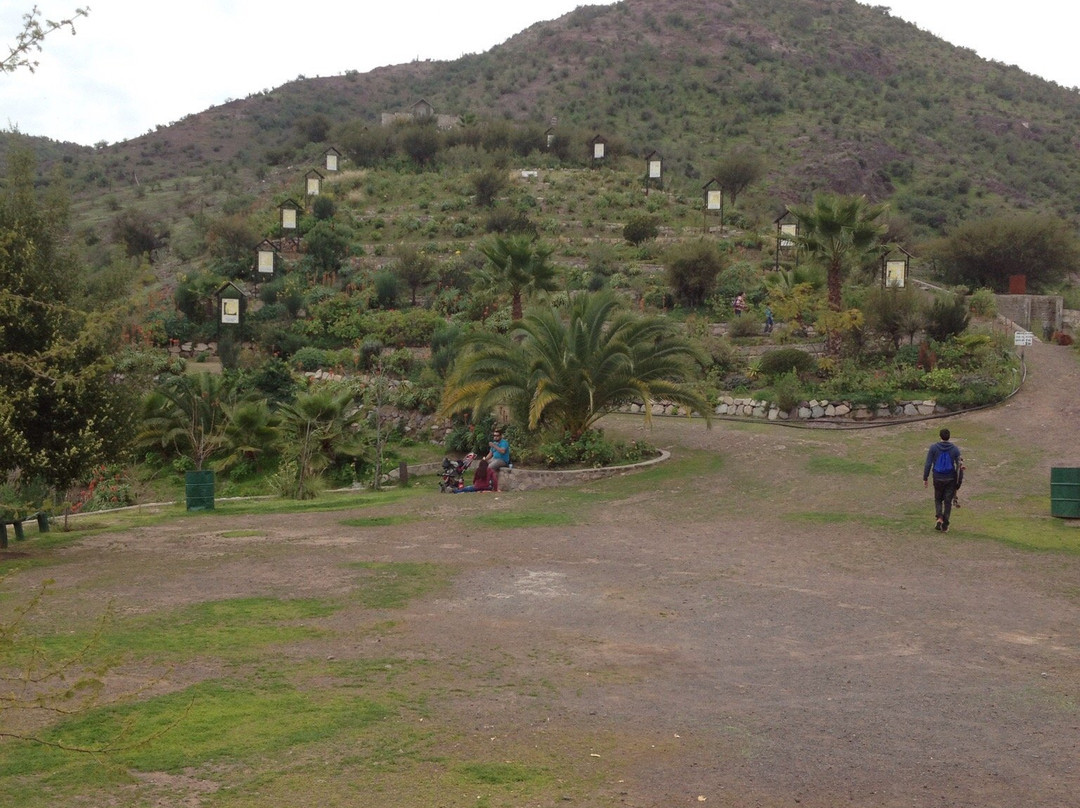 Rinconada de Silva, Cristo de Madera-San Felipe必去景点