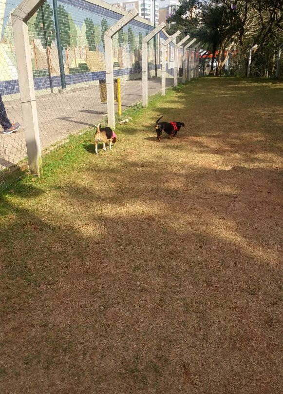 Parcão Blumenau-Blumenau必去景点