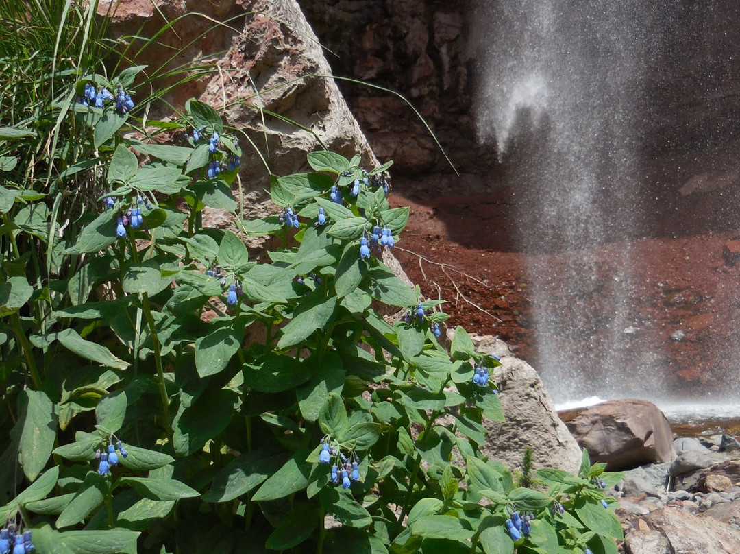 Cornet Creek Falls-特柳赖德必去景点