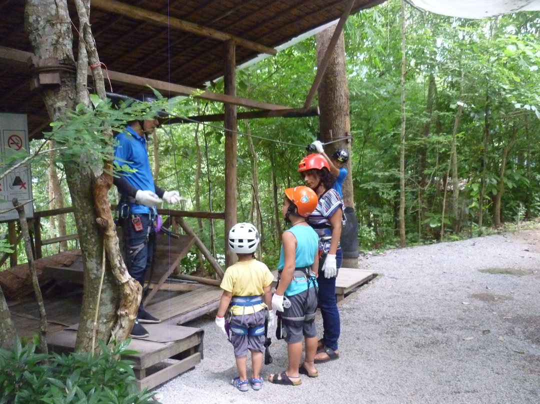 丛林滑翔-夜登必去景点