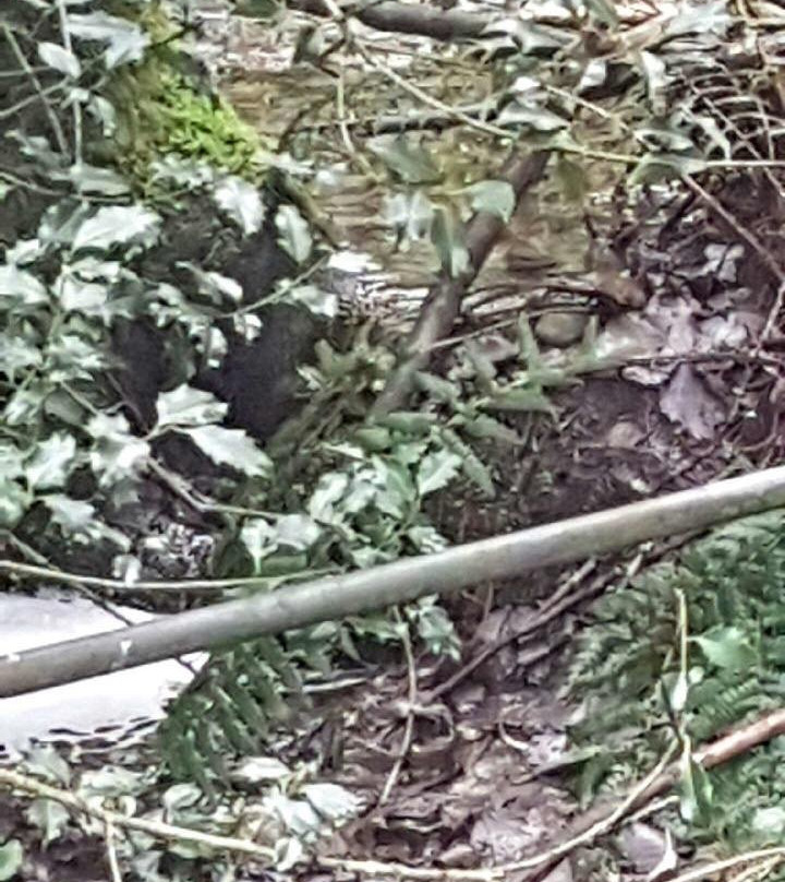 Sanatorium Lake-马其顿山必去景点