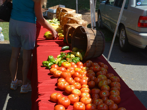 Davidson Farmer's Market-Davidson必去景点