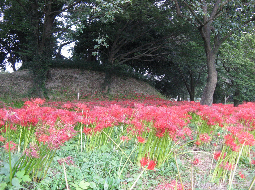 Nanatsumori Burial Mounds景点图片