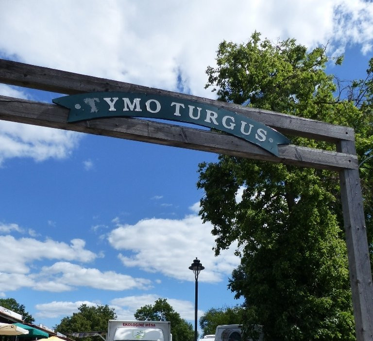 Tymo turgus-维尔纽斯必去景点