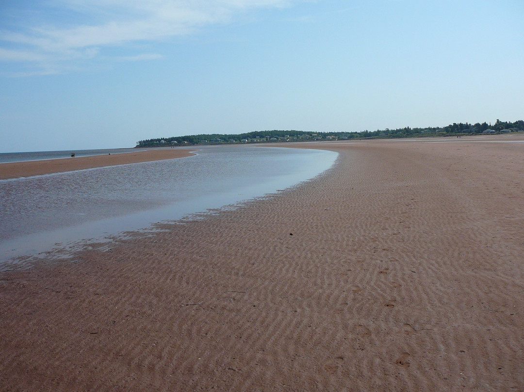 D's B & B by the sea主图