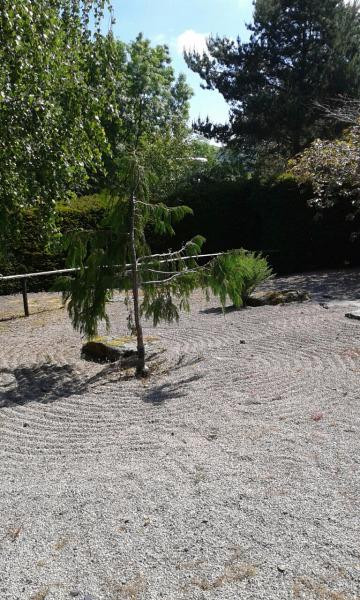 Conwy Valley Garden Maze景点图片
