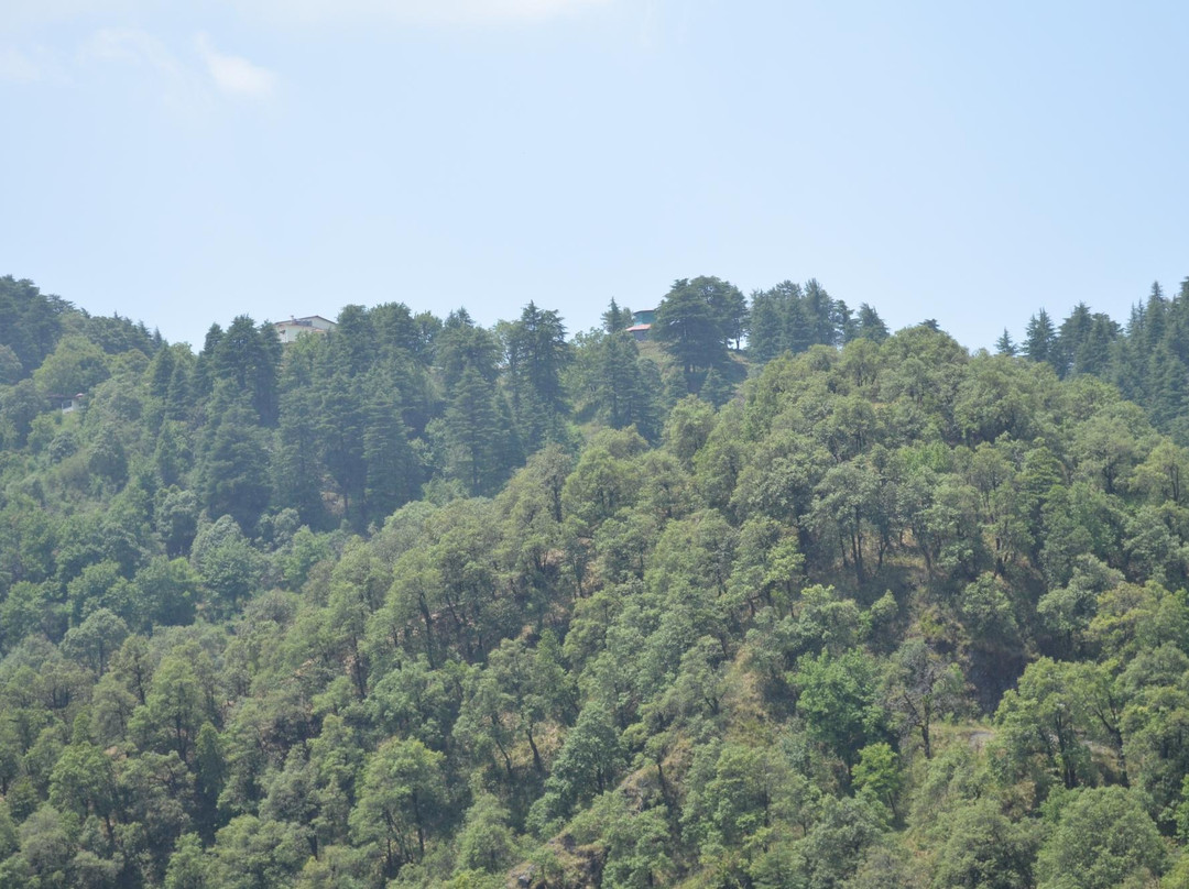 Benog Wildlife Sanctuary-马苏里必去景点