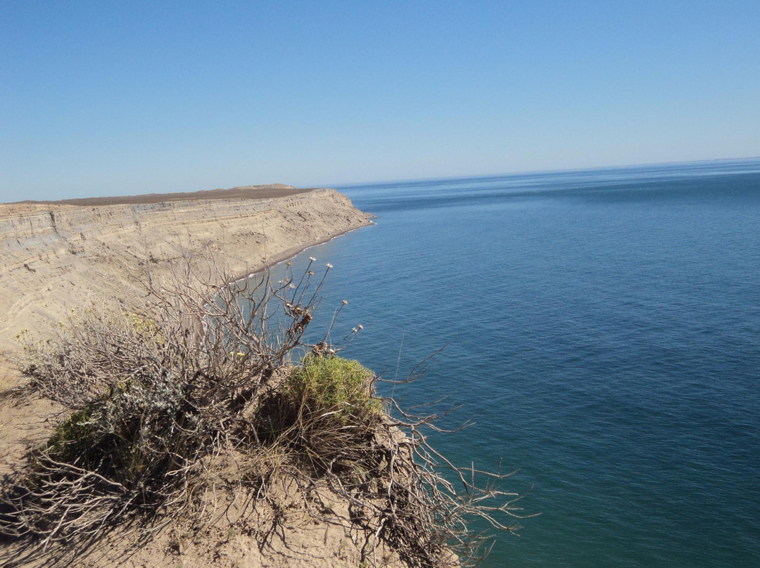 Punta Ninfas旅游攻略图片