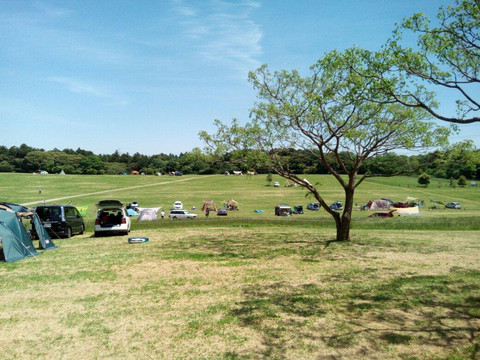 Mori no Makiba Auto Campsite