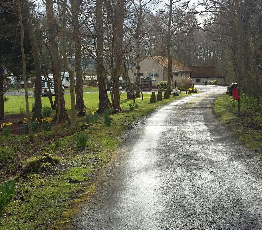 Fallowfield Dene Caravan & Camping Park