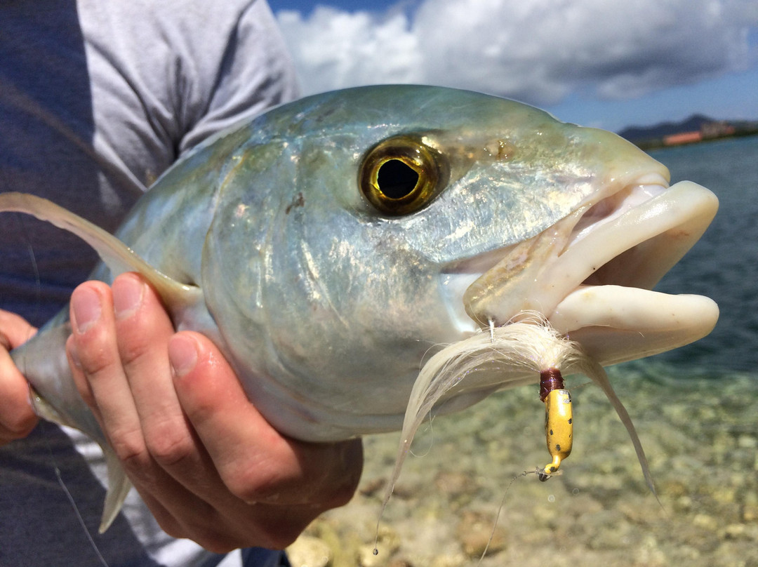 St. Croix Inshore Fishing Charters-Christiansted必去景点