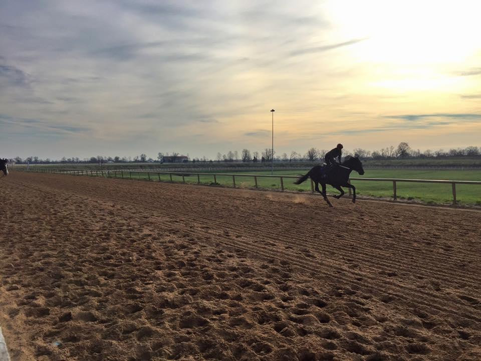 The Thoroughbred Center-列克星敦必去景点