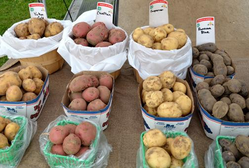 Orillia Fairgrounds Farmers' Market景点图片