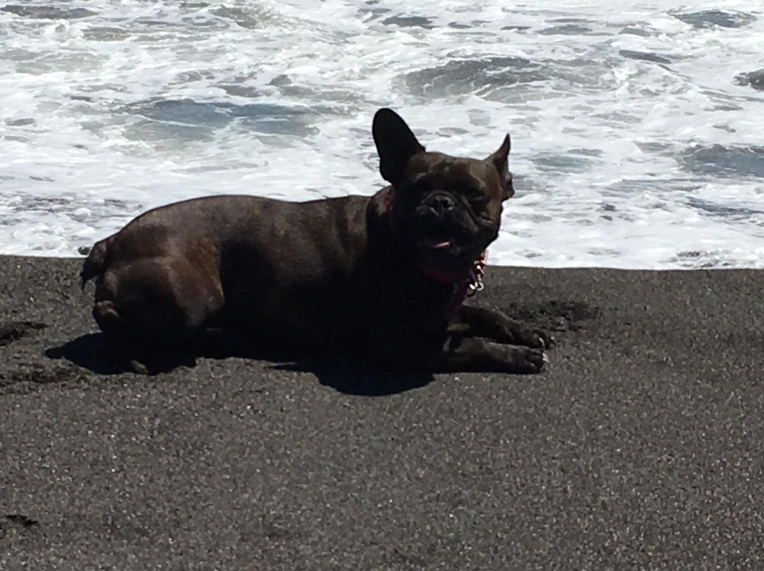 Pelluhue Outdoor-Pelluhue必去景点