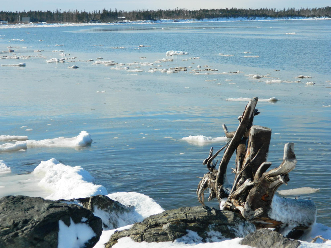 Caribou Lighthouse-Pictou必去景点