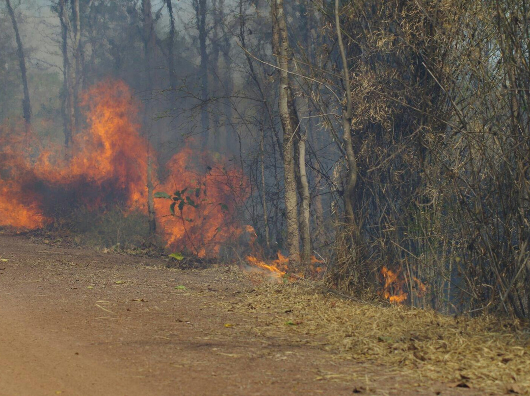 Yokdon National Park-Cu Jut District必去景点