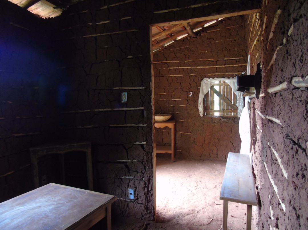 Parque Municipal Victório Siquierolli-乌贝兰迪亚必去景点