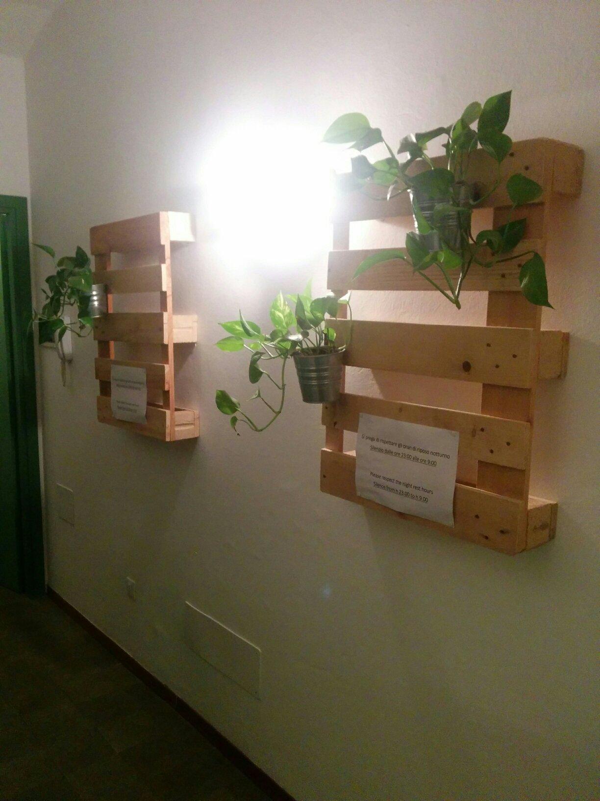 Low Cost Ferrara-官方