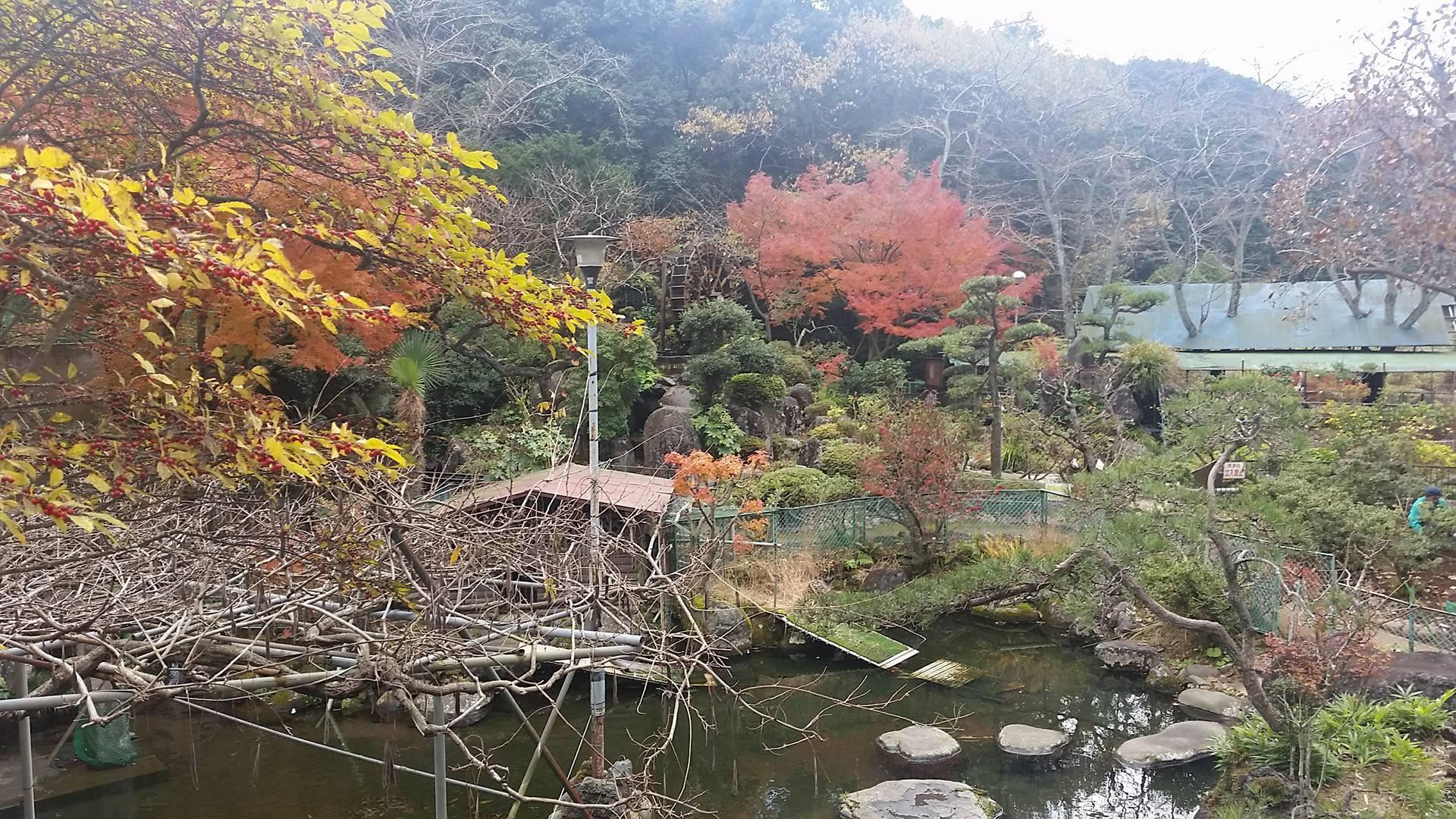 Ichinose-酒店景观