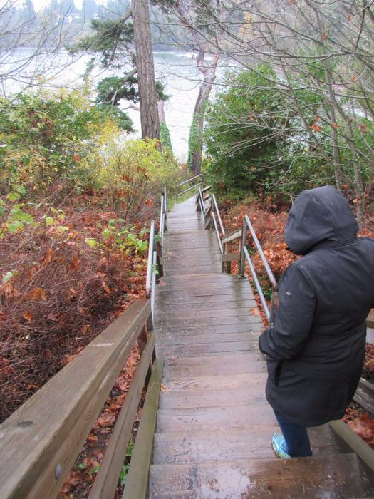 Arbutus Cove Park景点图片