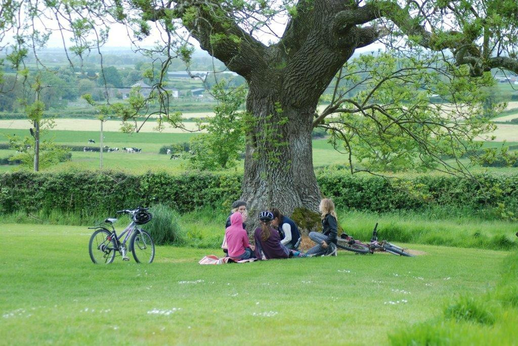 Bike Park Ireland-Roscrea必去景点