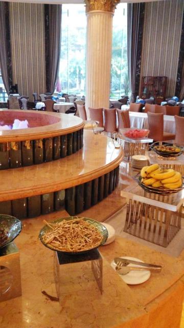 成都雅居乐豪生大酒店-客卧