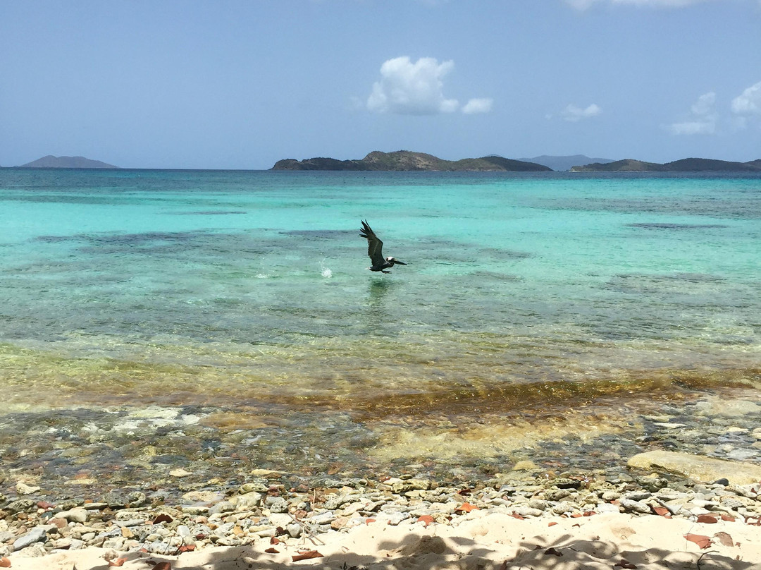 Antilles EcoQuest-Havensight必去景点