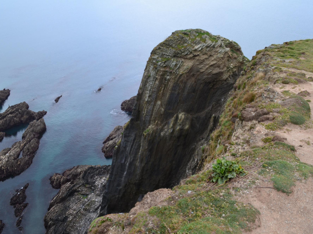 Burgh Island旅游攻略图片