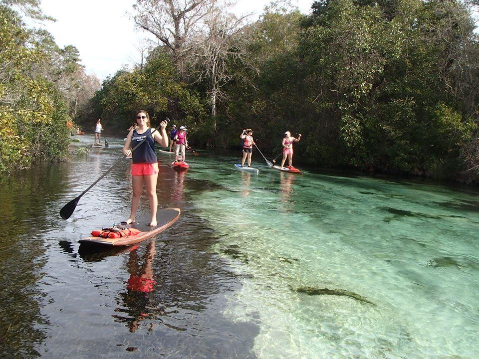 Upper Tampa Bay Paddle Sports-Oldsmar必去景点