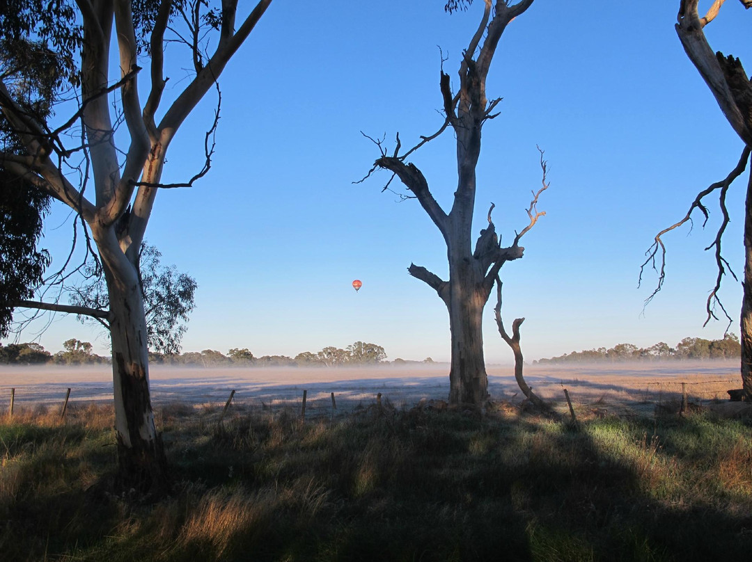 Daylesford Ballooning-戴尔斯福特必去景点